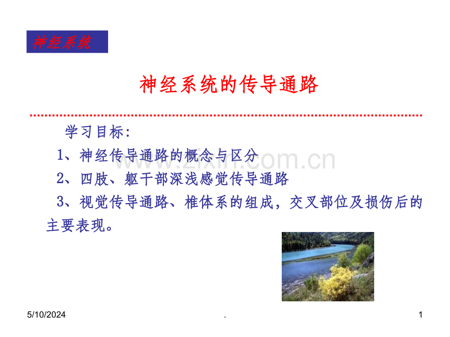 神经传导通路.ppt_第1页