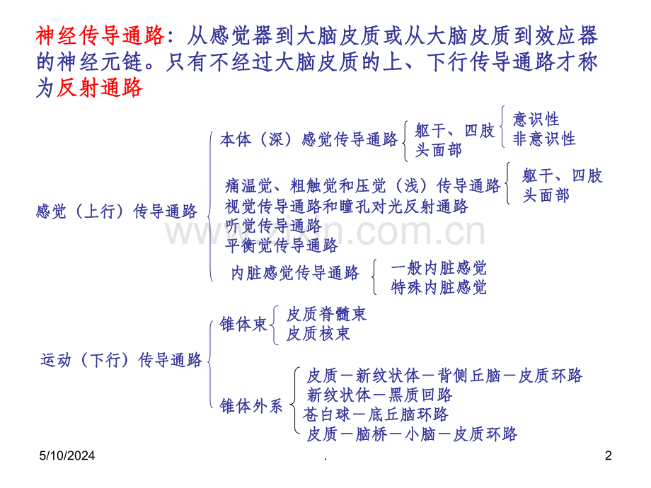 神经传导通路.ppt_第2页