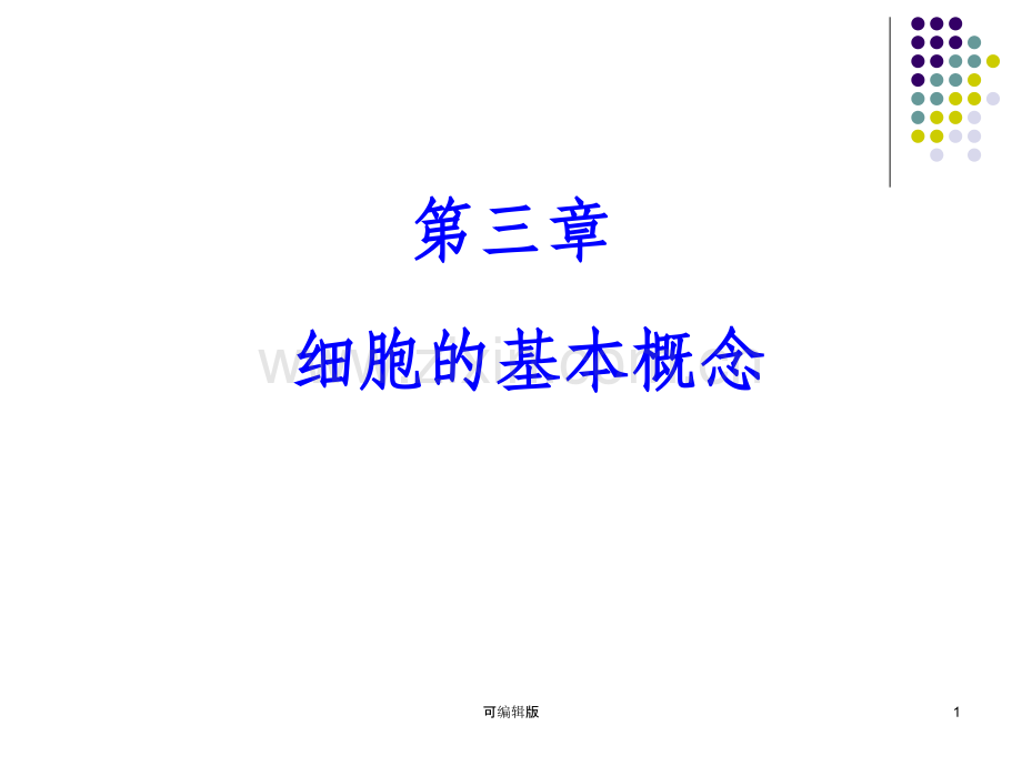 细胞的基本概念cell.ppt_第1页