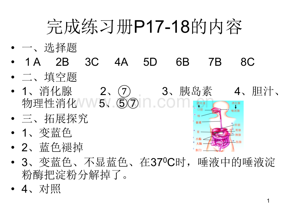 消化和吸收动画版.ppt_第1页