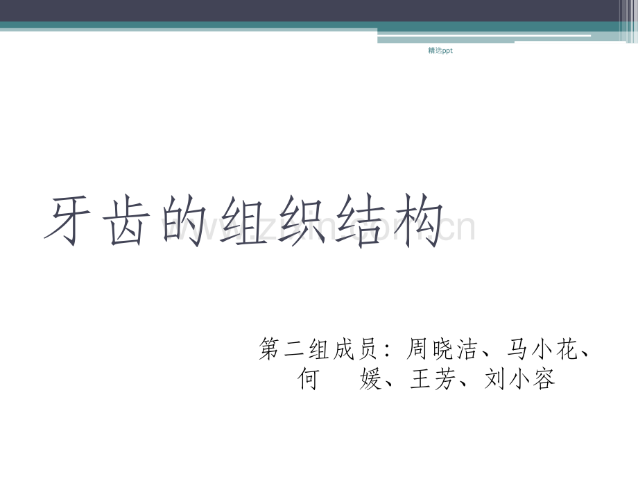 牙齿的组织结构.ppt_第1页