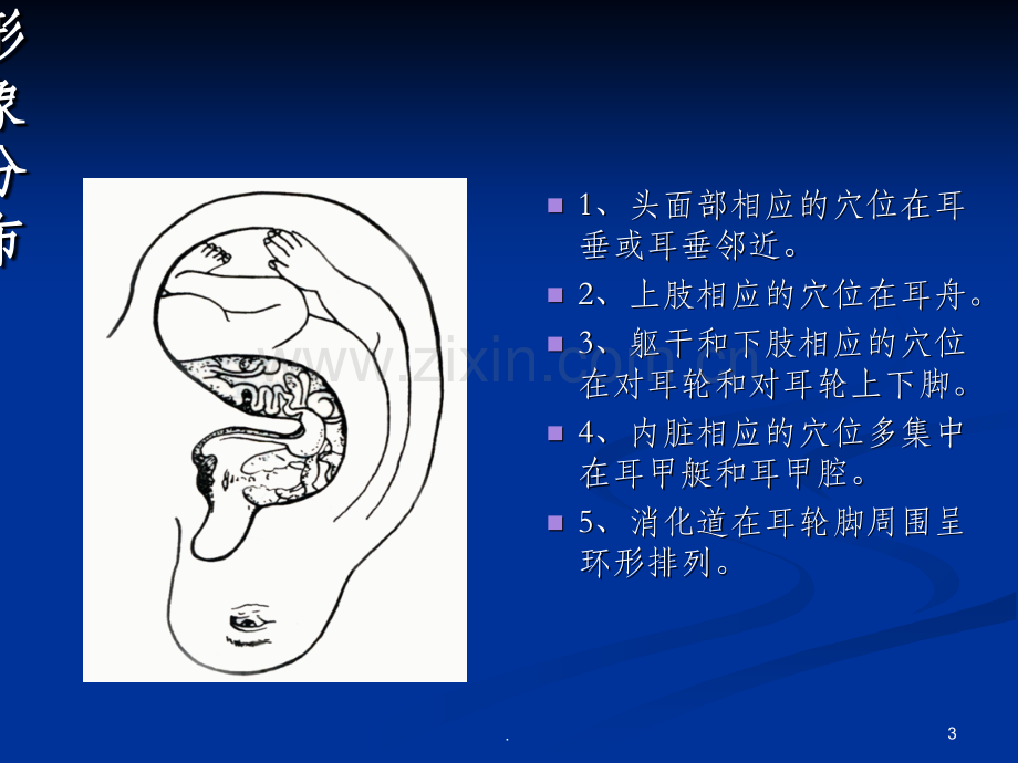 耳穴压豆演示精.ppt_第3页