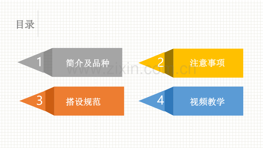 架子工安全技能培训.ppt_第2页