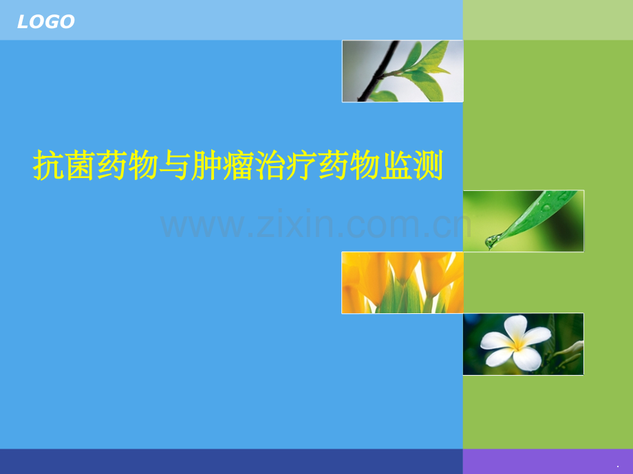 抗菌药物与肿瘤治疗药物监测.ppt_第1页