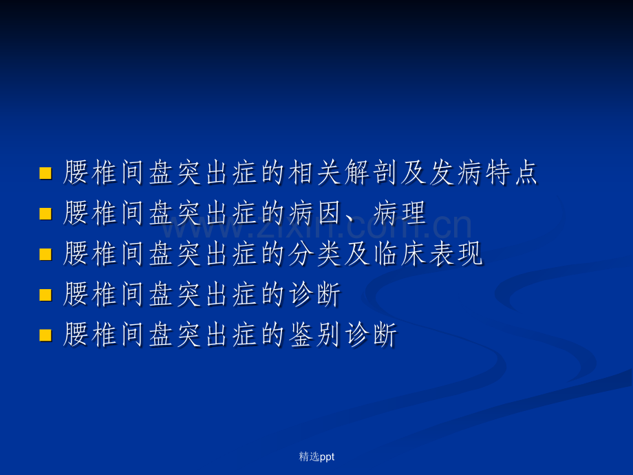 腰椎间盘突出症的诊断、鉴别诊断与分型.ppt_第2页