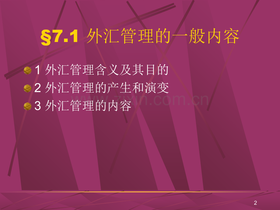 外汇管理.ppt_第2页