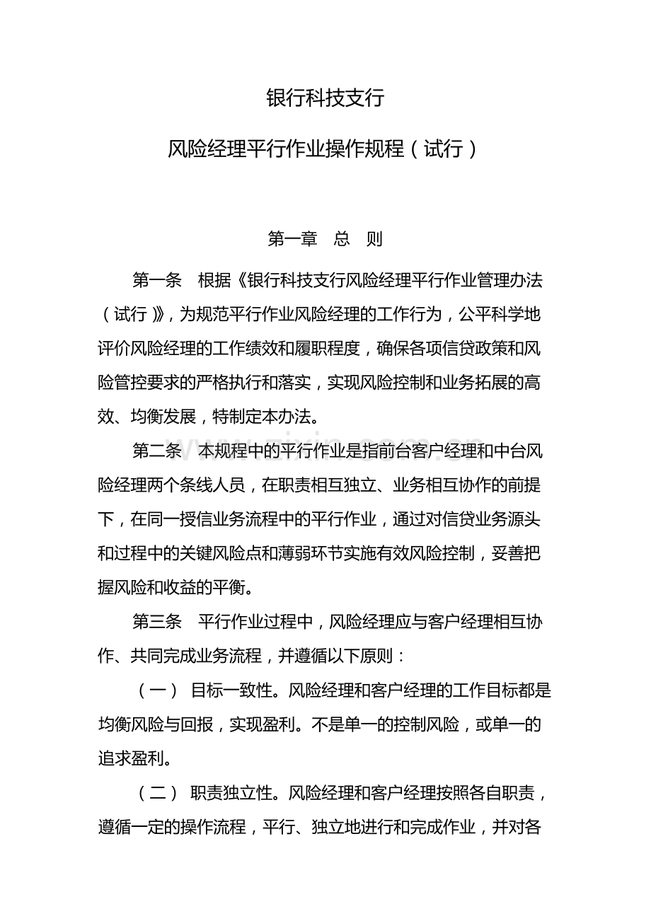 银行科技支行风险经理平行作业操作规程模版.docx_第1页