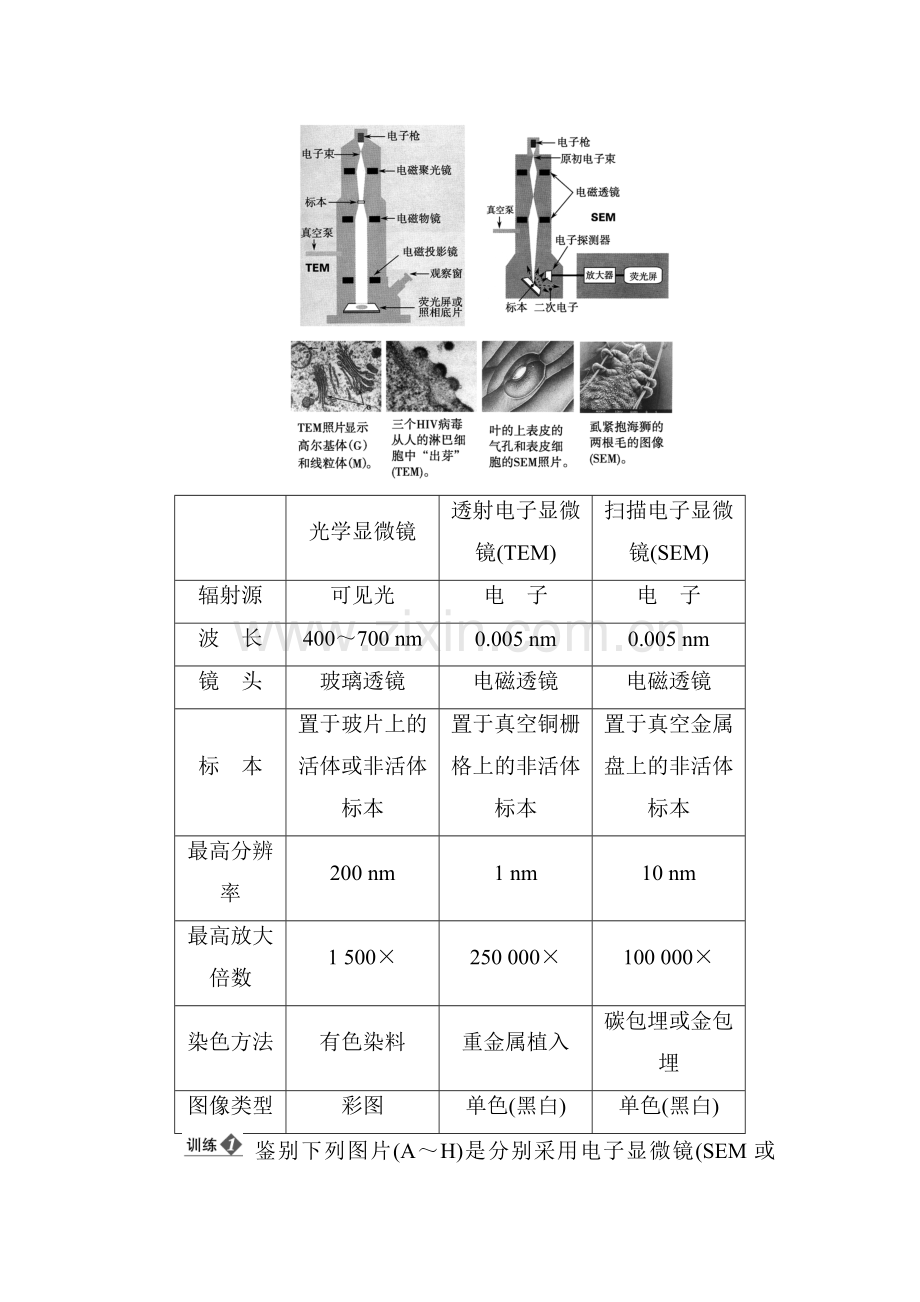 2018届高考生物复习模拟检测试题12.doc_第2页