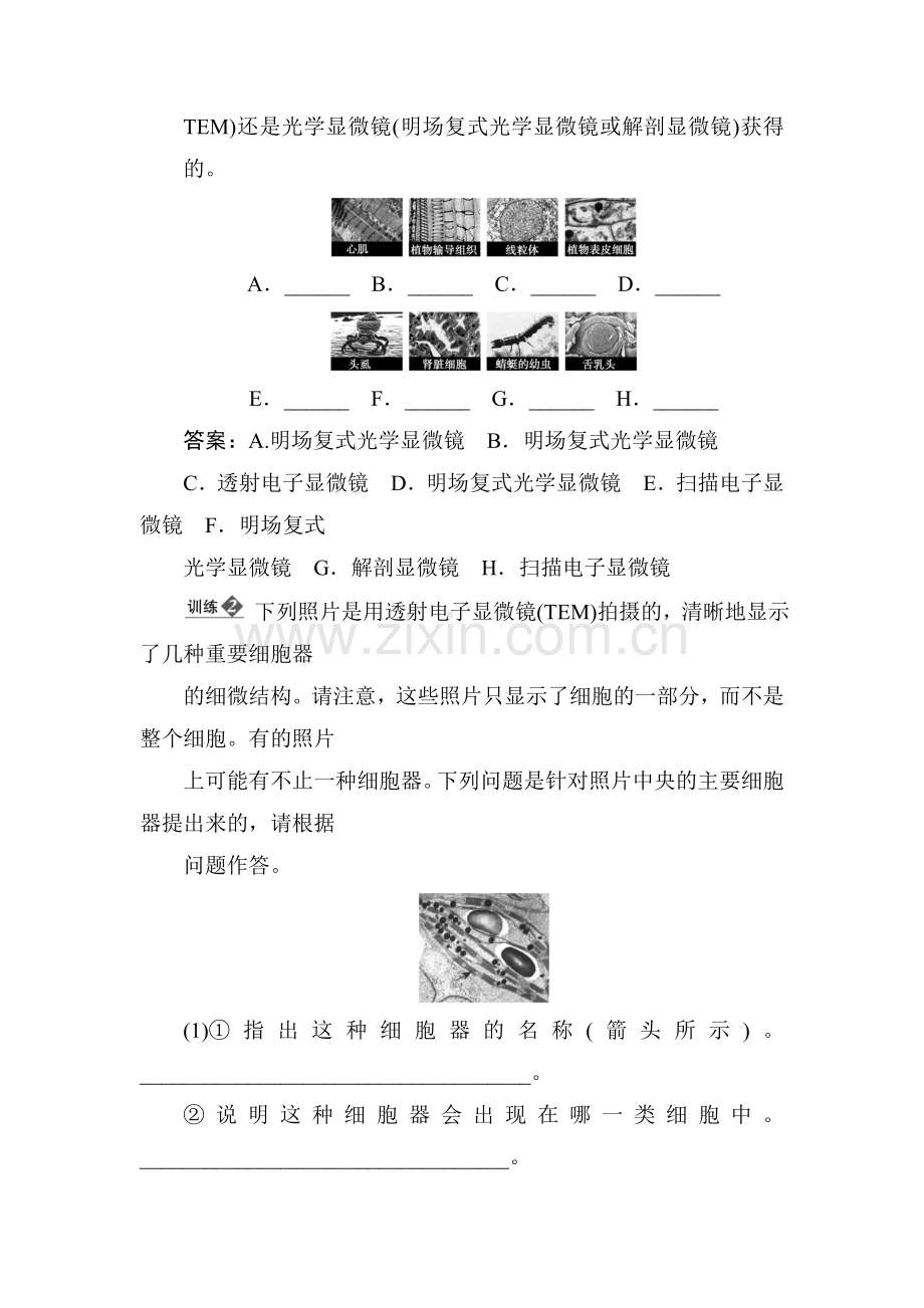 2018届高考生物复习模拟检测试题12.doc_第3页