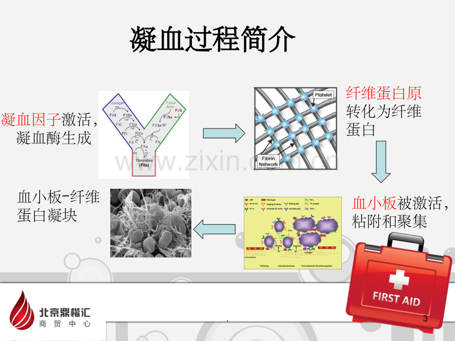 血栓弹力图检测的应用ppt.ppt_第3页