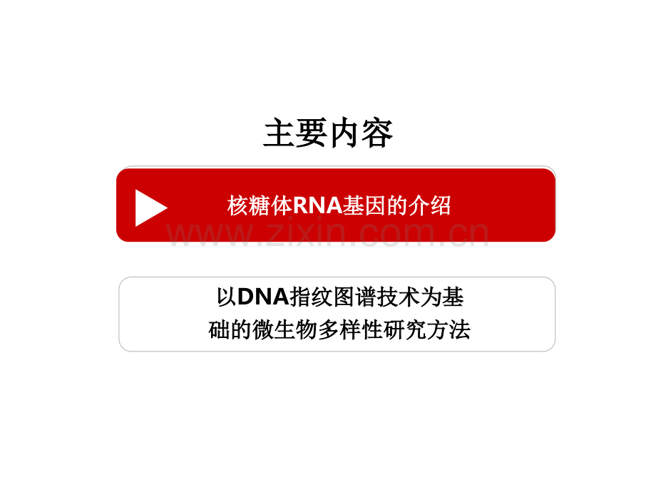 DNA指纹图谱技术.ppt_第3页