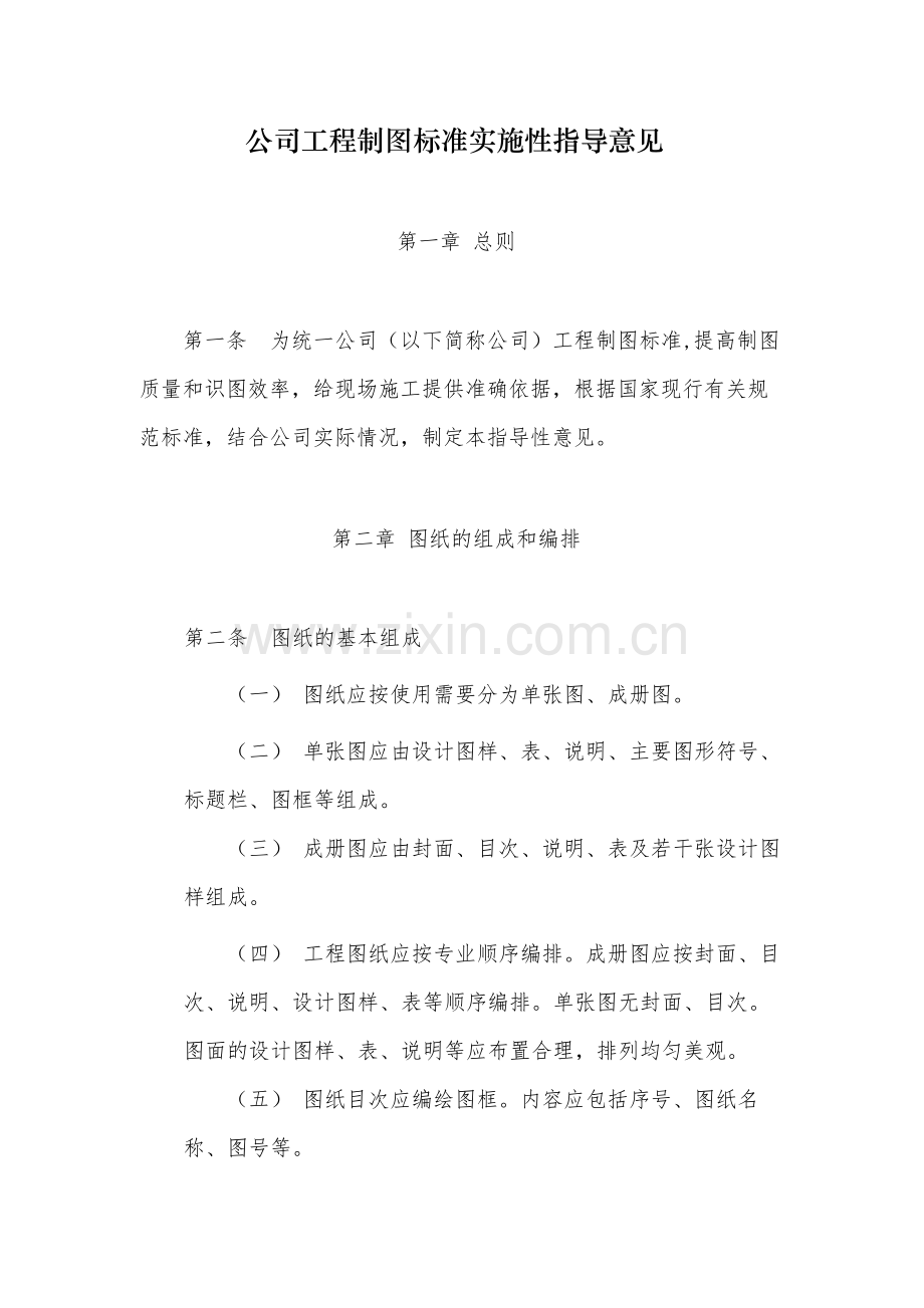 国有公司工程制图标准实施性指导意见-模版.docx_第1页