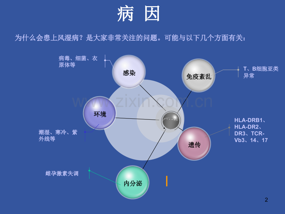 风湿免疫疾病概述.ppt_第2页