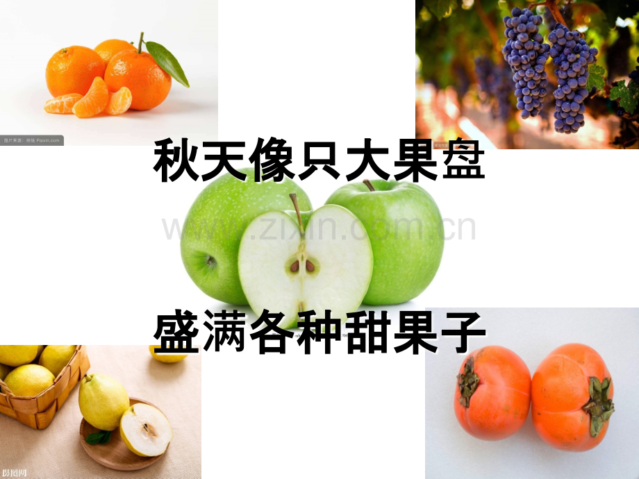 中班语言丰收的季节.ppt_第3页