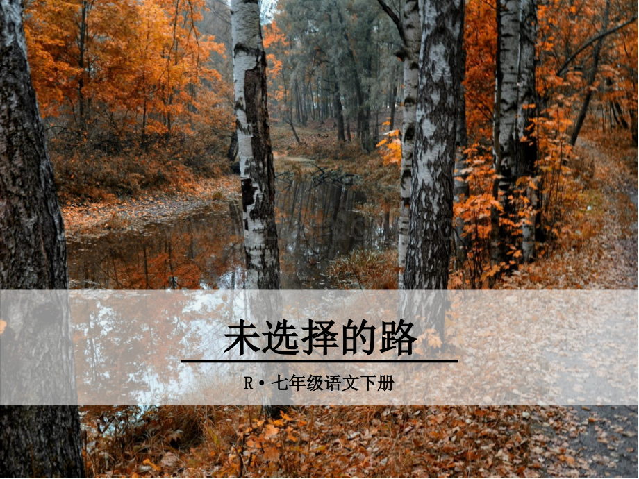 未选择的路优秀.ppt_第1页