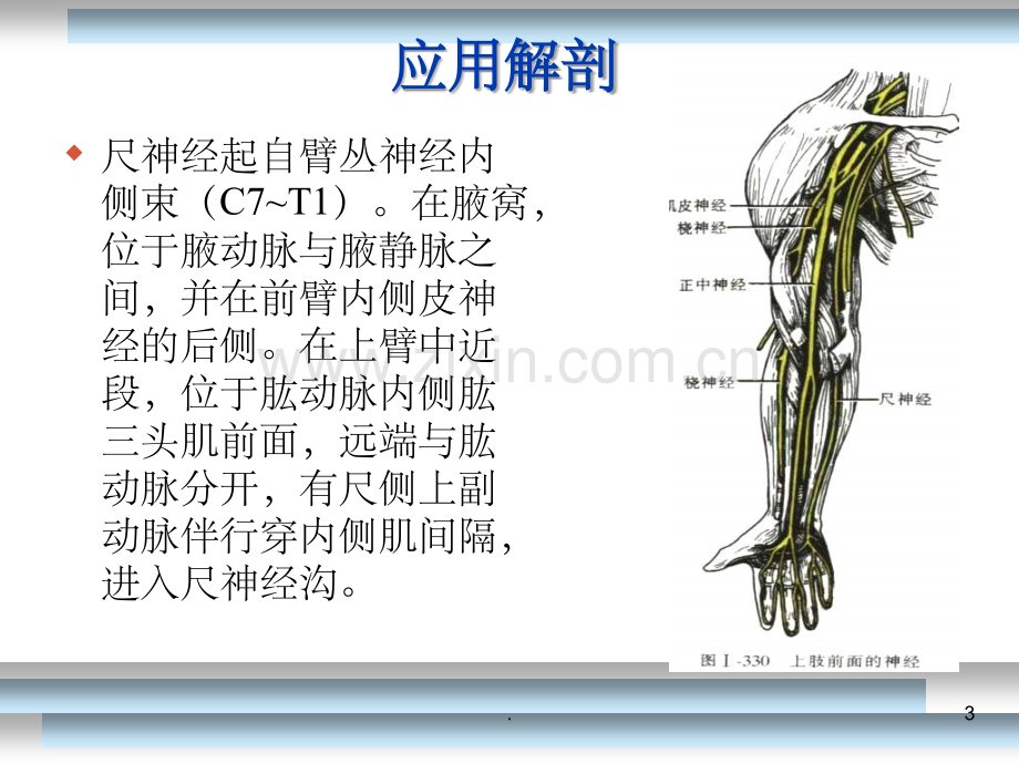 尺神经损伤康复.ppt_第3页