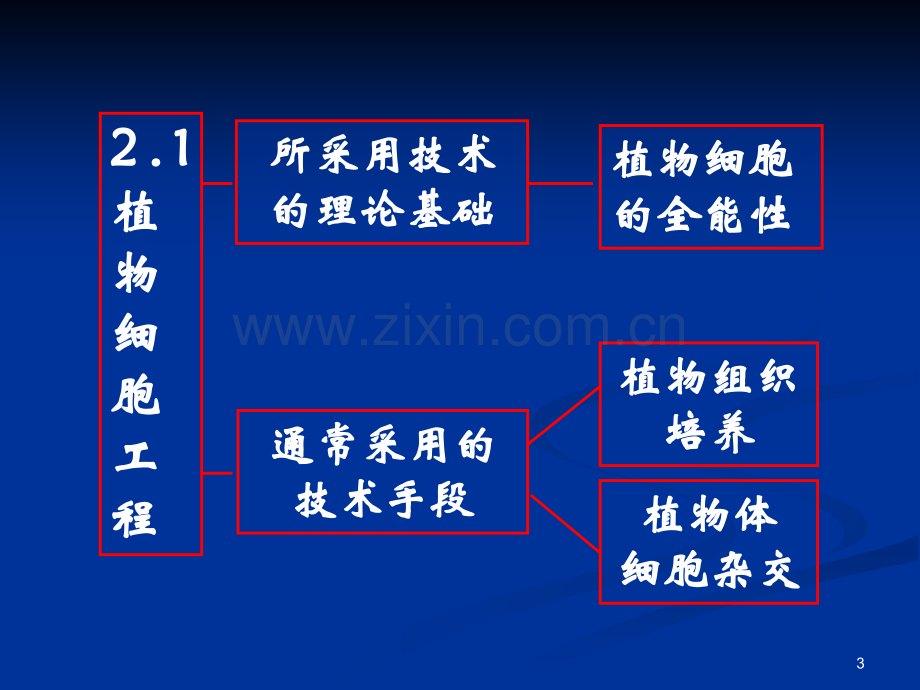 一轮复习植物细胞工程的基本技术.ppt_第3页