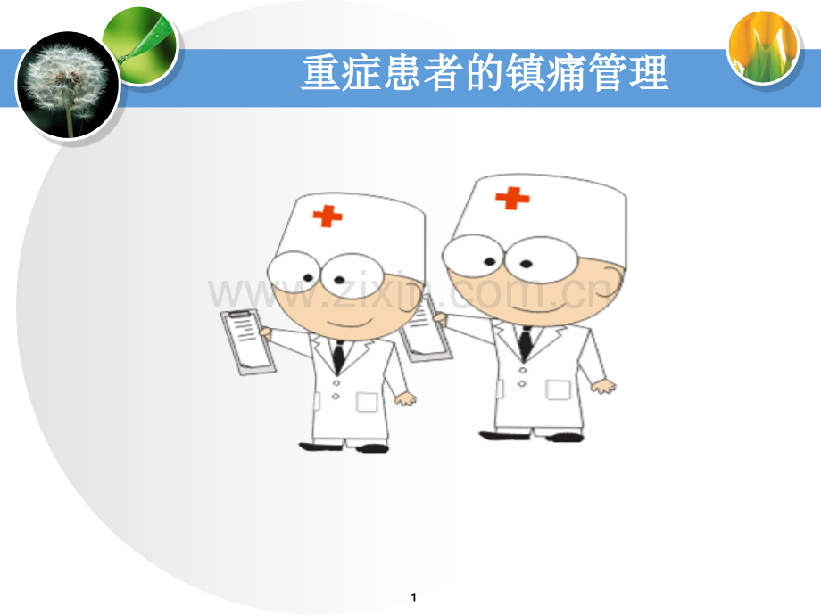 重症患者的镇痛管理可编辑版.ppt_第1页