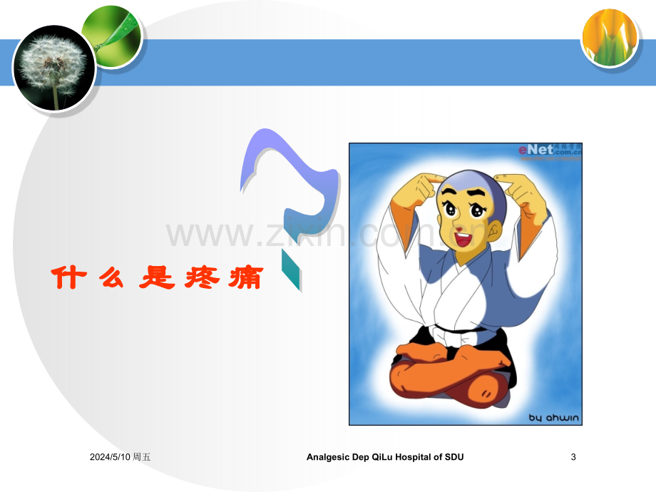 重症患者的镇痛管理可编辑版.ppt_第3页