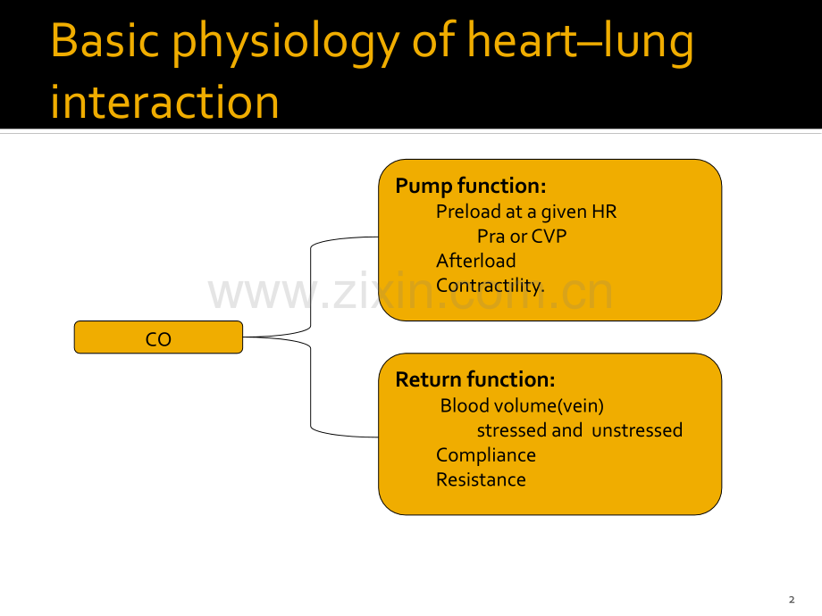 心肺交互作用simplified.ppt_第2页