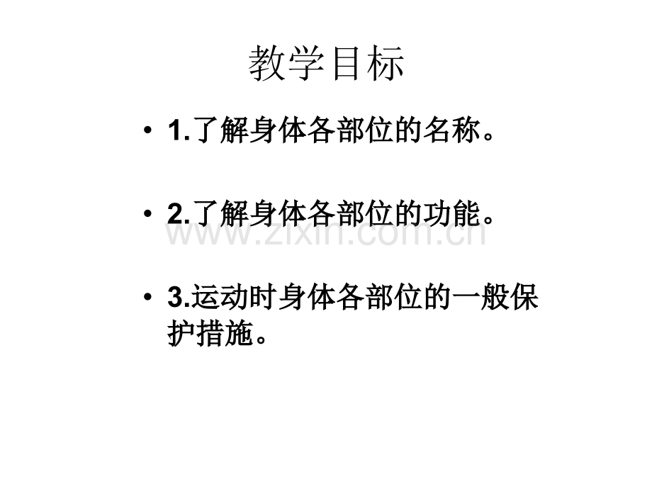 身体各部位名称及功能.ppt_第2页