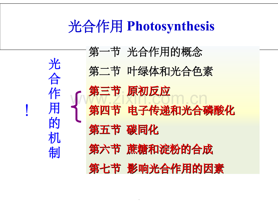 第三章-光合作用--光反应-电子传递.ppt_第2页