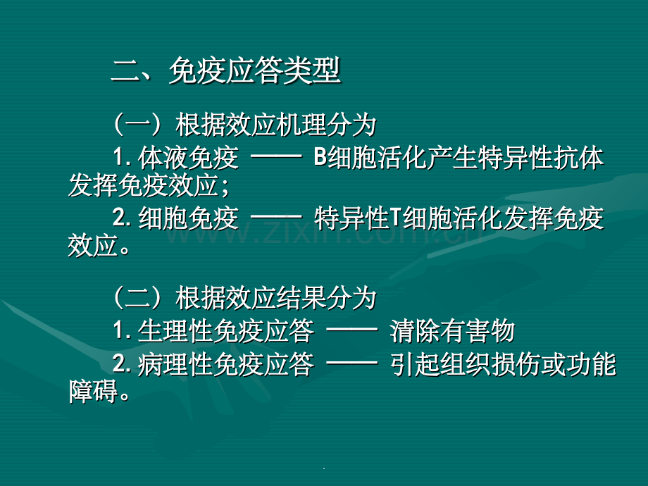 B细胞介导的体液免疫应答.ppt_第3页