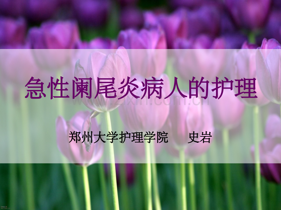 急性阑尾炎病人的护理-专.ppt_第1页