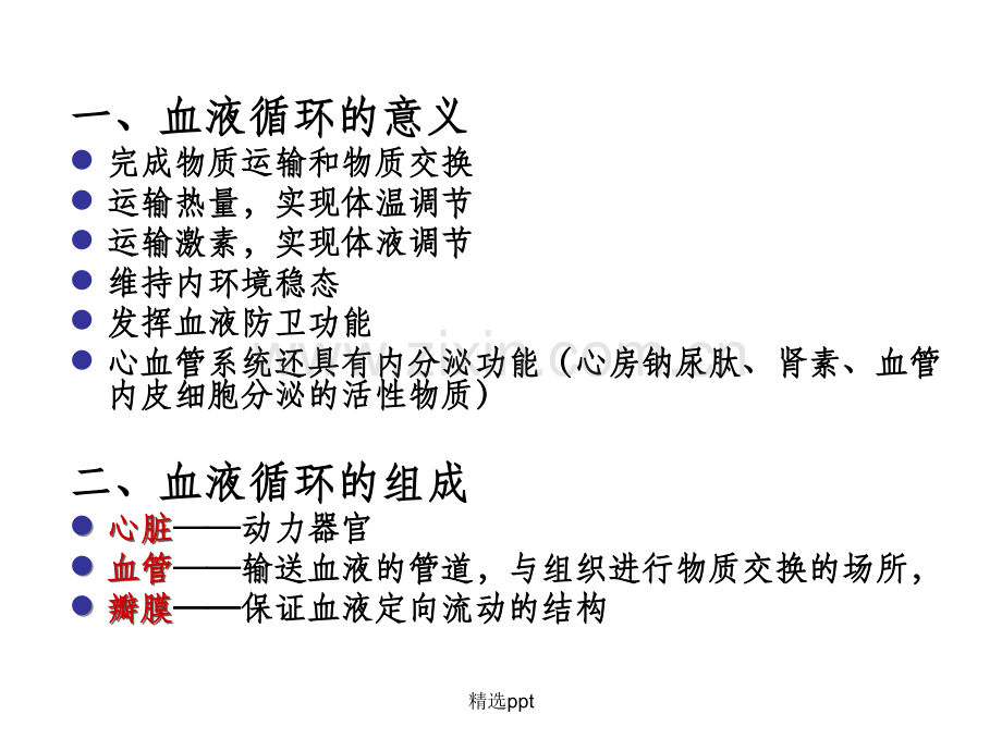 循环系统(解剖结构).ppt_第3页