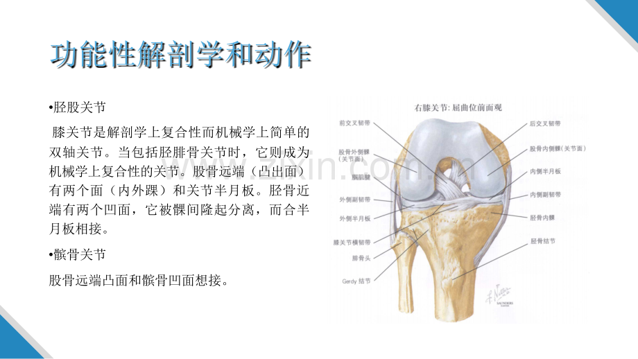 膝关节松动.ppt_第2页