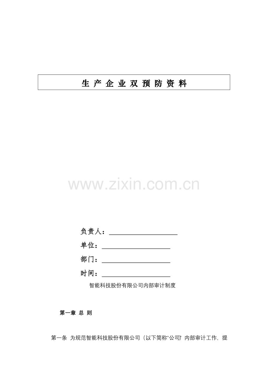 智能科技股份有限公司内部审计制度--模版.docx_第1页