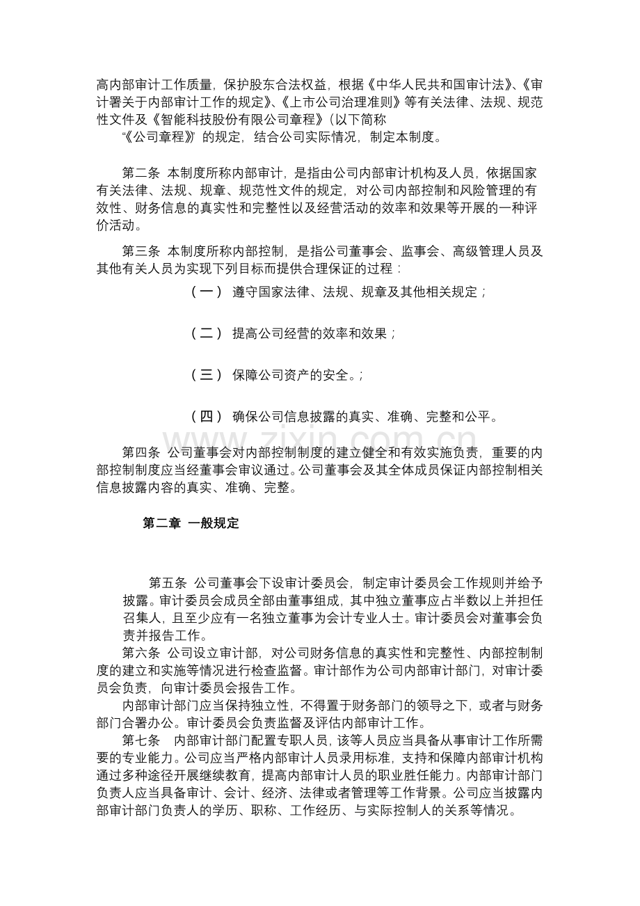 智能科技股份有限公司内部审计制度--模版.docx_第2页