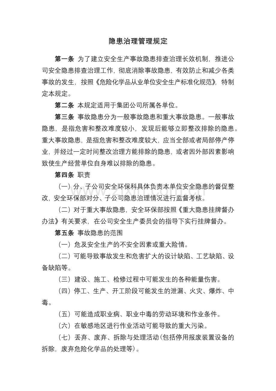 化工集团公司隐患治理管理规定模版.docx_第1页