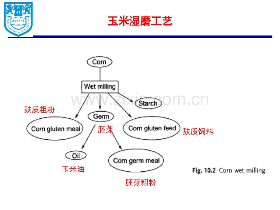 第八章生物基精细化学品.ppt_第3页