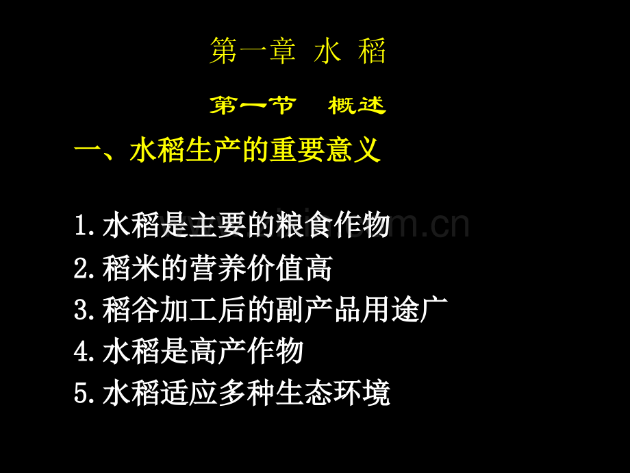 第一章水稻.ppt_第1页