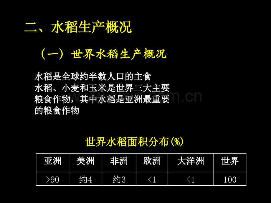 第一章水稻.ppt_第2页