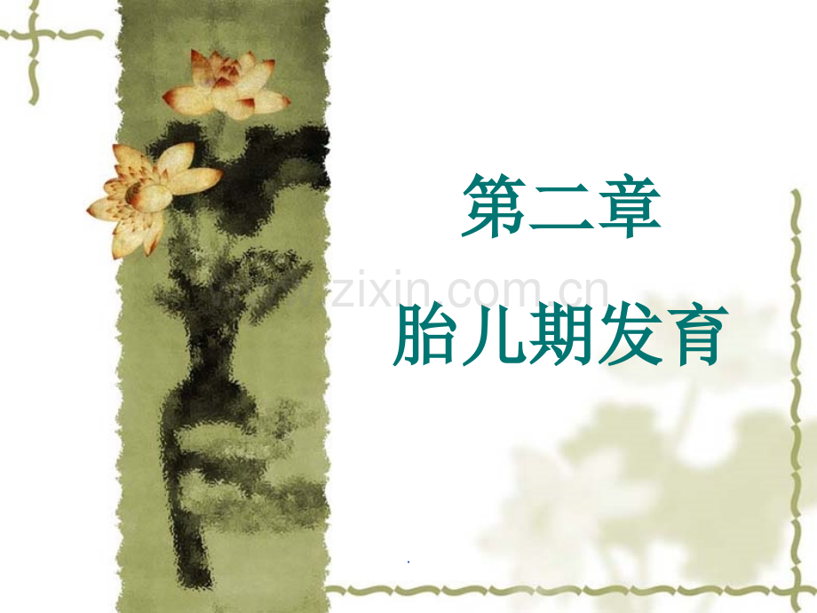 《人体发育学》第二章胎儿期发育.ppt_第1页