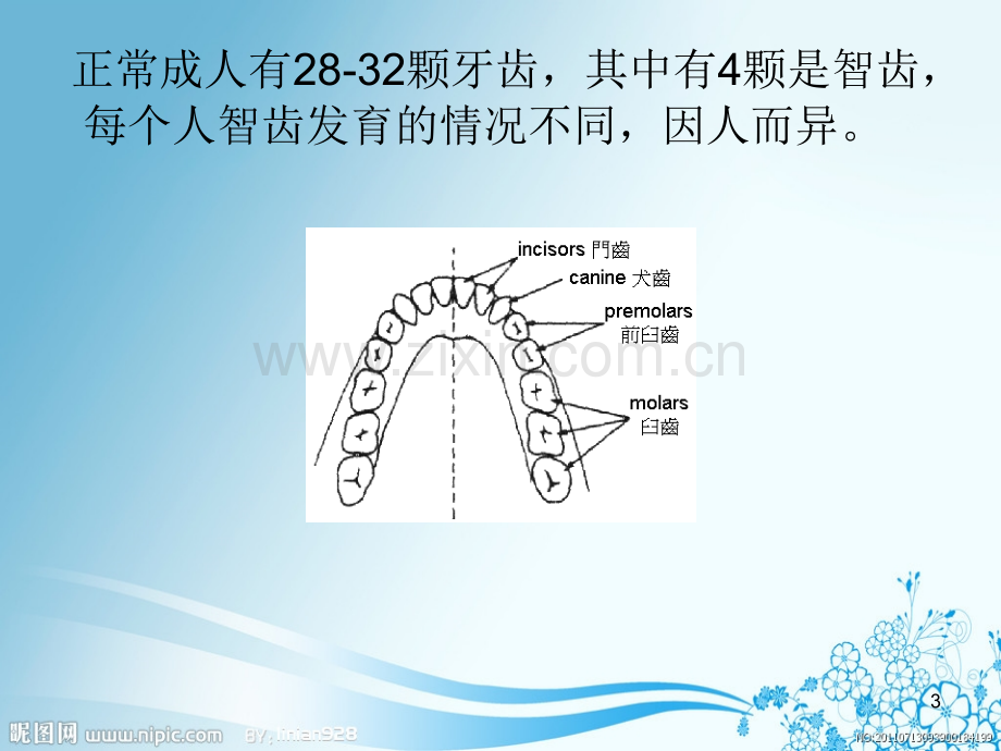 口腔健康小知识.ppt_第3页