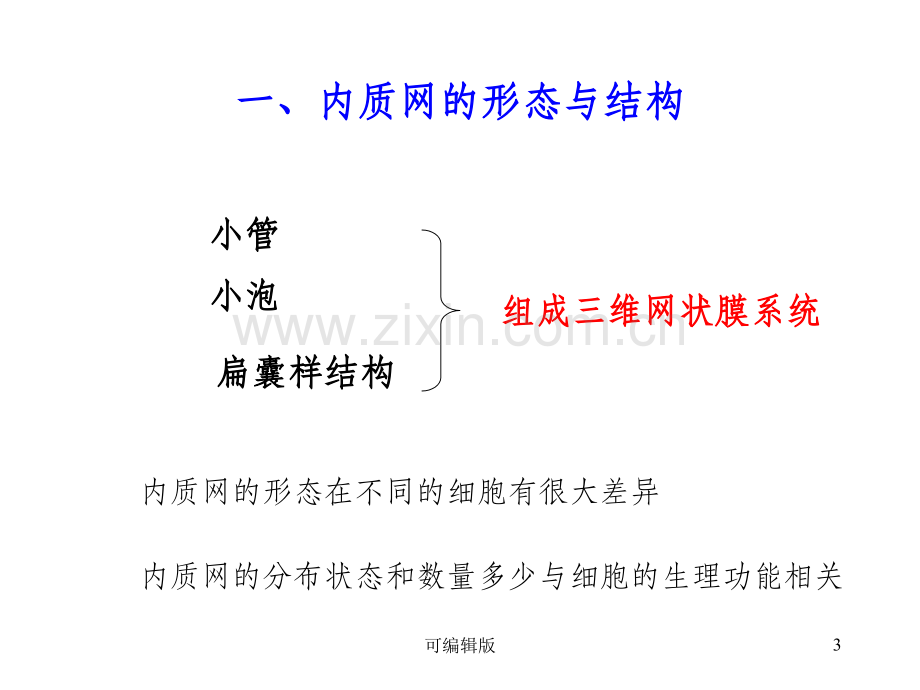 细胞的内膜系统B——内质网.ppt_第3页