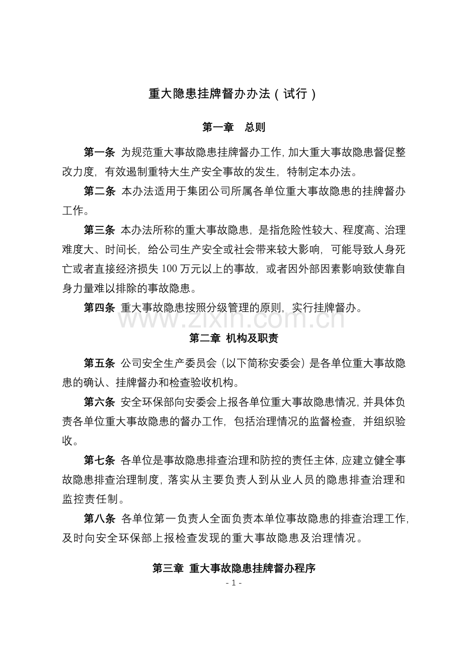 化工集团公司重大隐患挂牌督办办法(试行)模版.docx_第1页