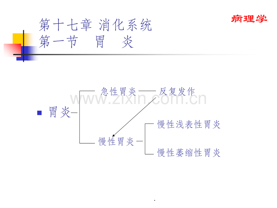 消化系统.ppt_第2页