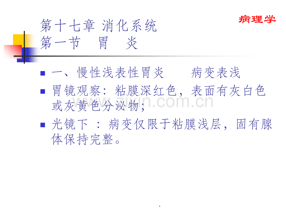 消化系统.ppt_第3页