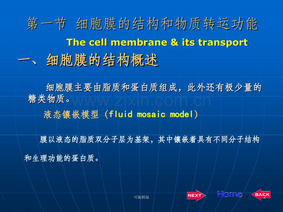 细胞的基本功能(10).ppt_第2页