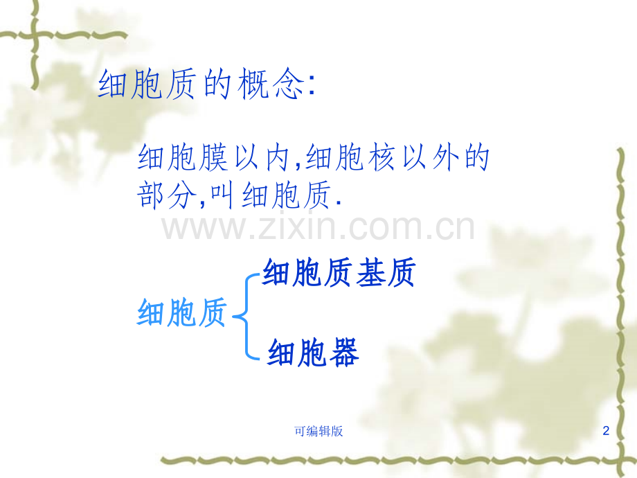 细胞质的结构和功能(1).ppt_第2页