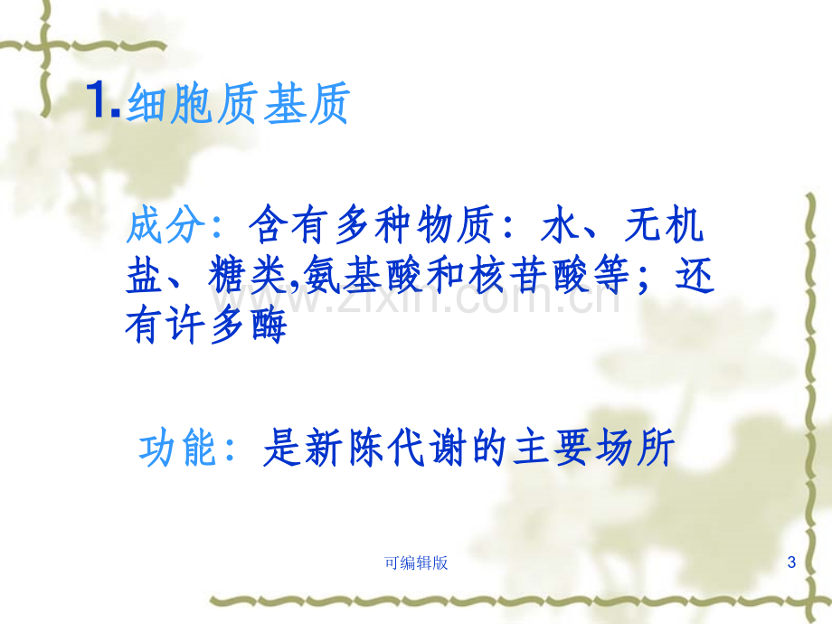 细胞质的结构和功能(1).ppt_第3页