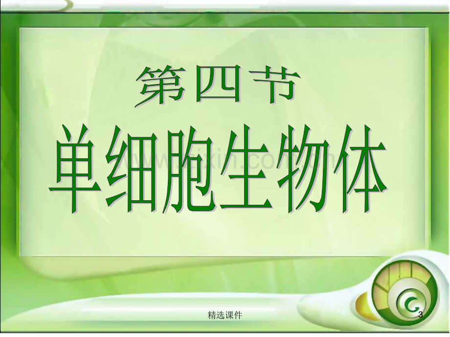 单细胞生物体.ppt_第3页