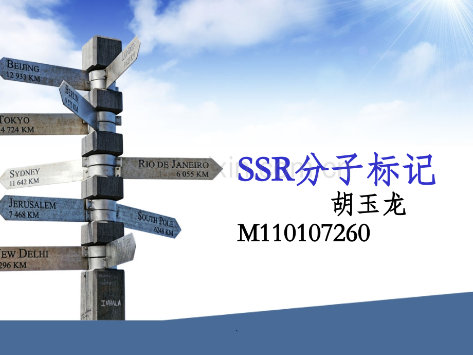 SSR分子标记..ppt_第1页