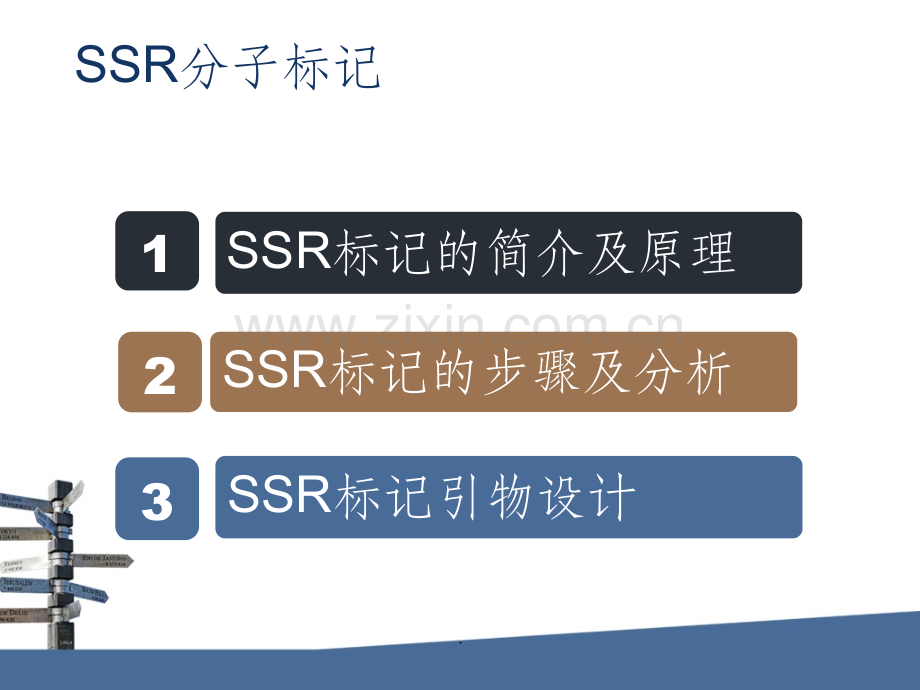 SSR分子标记..ppt_第2页