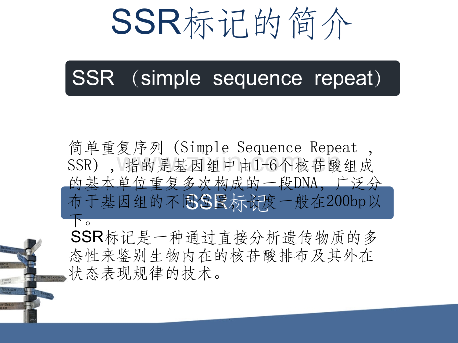 SSR分子标记..ppt_第3页