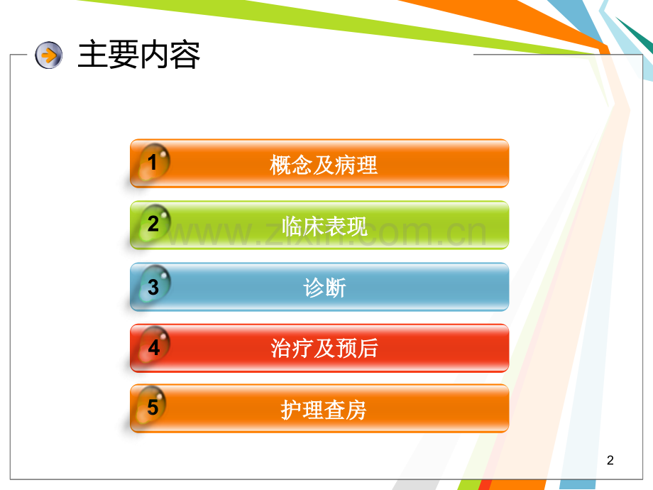 巧克力囊肿护理查房.ppt_第2页